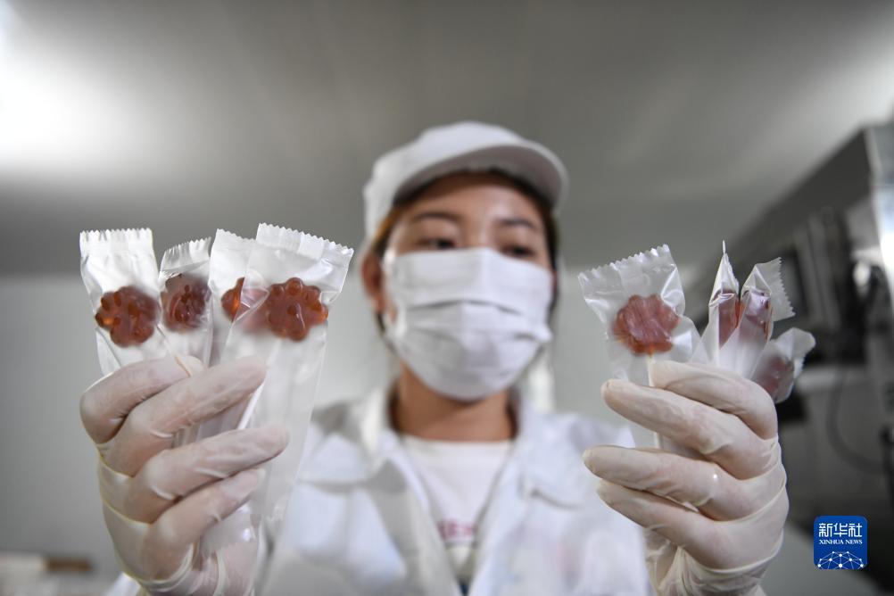 巴黎人网站怎么样